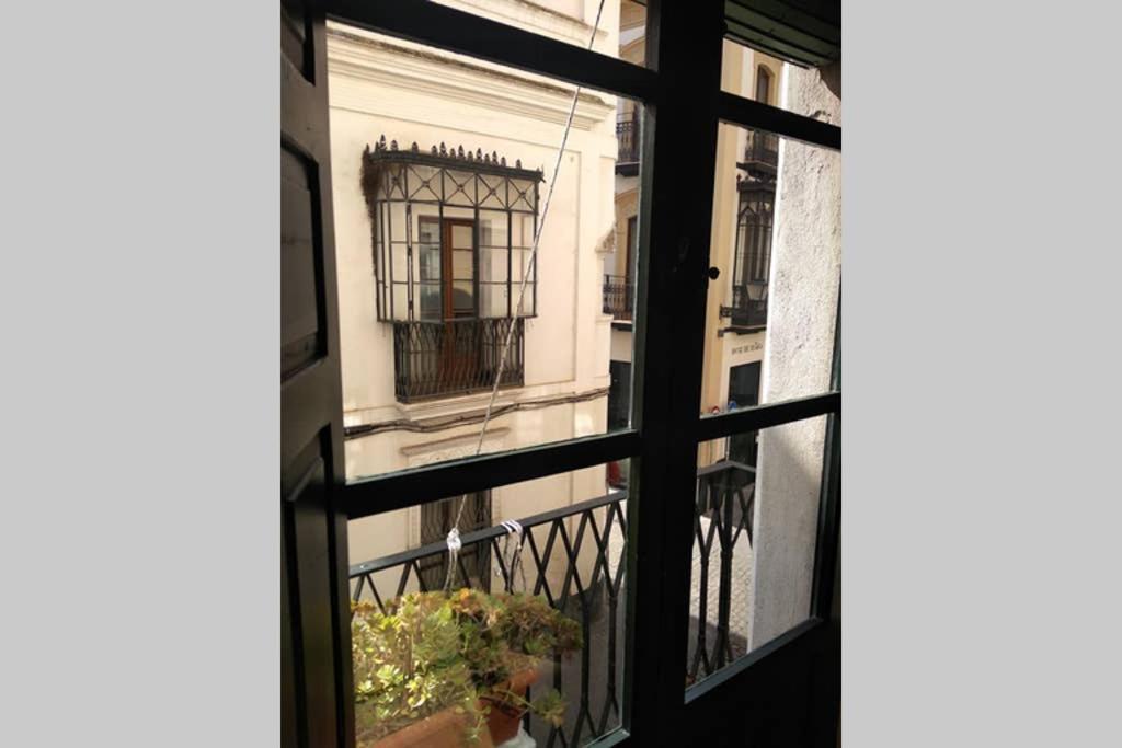 Apartamento Centro Encarnacion 1º D إشبيلية المظهر الخارجي الصورة
